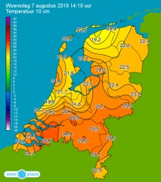 Temperatuur 10 cm