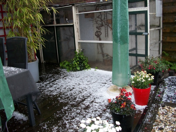 haglmei2010tuin.JPG