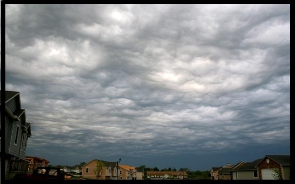 undulus_asperatus_gontesky_2.jpg