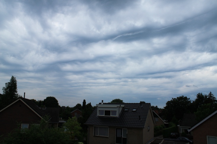 Asperatus1.jpg