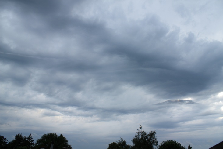 Asperatus3.jpg