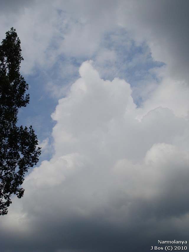 onweer23juli2010jbos01.jpg