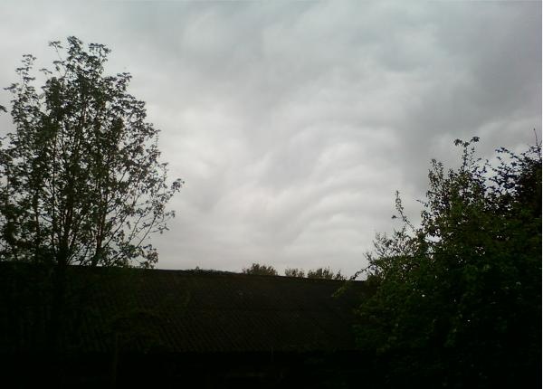 asperatus_heeten.JPG