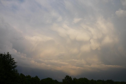 mammatus_achter_kant_cummulus.jpg