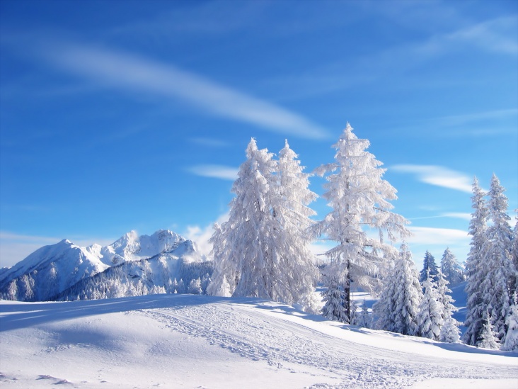 Winter_Landscape_1600.jpg