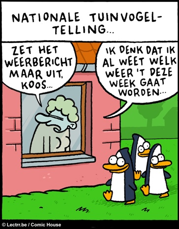 weer.jpg