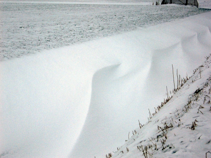 2010_winters_036_1.jpg