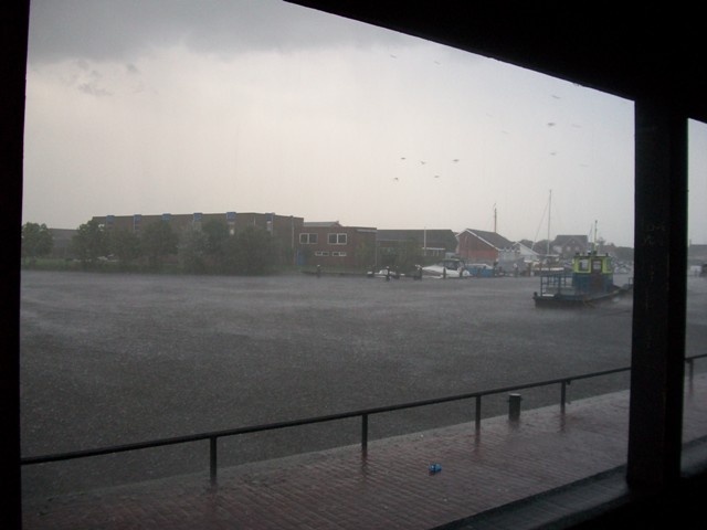 zomer_2010_191.jpg